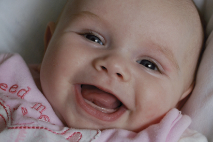 Little Harriers - Baby room